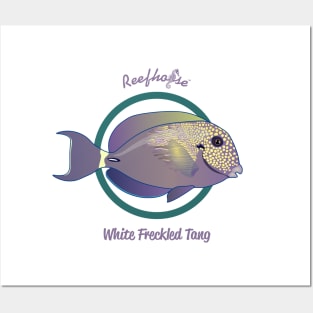 White Freckled Tang Posters and Art